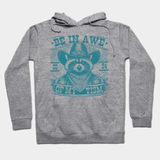 Be In Awe Of My Tism Funny Raccoon Meme Hoodie